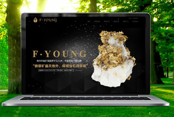 ���︩�����ﱦʯ